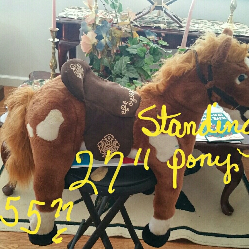 STANDING UP PONY